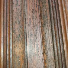 Front Door Refinishing in Tampa Bay, FL 3